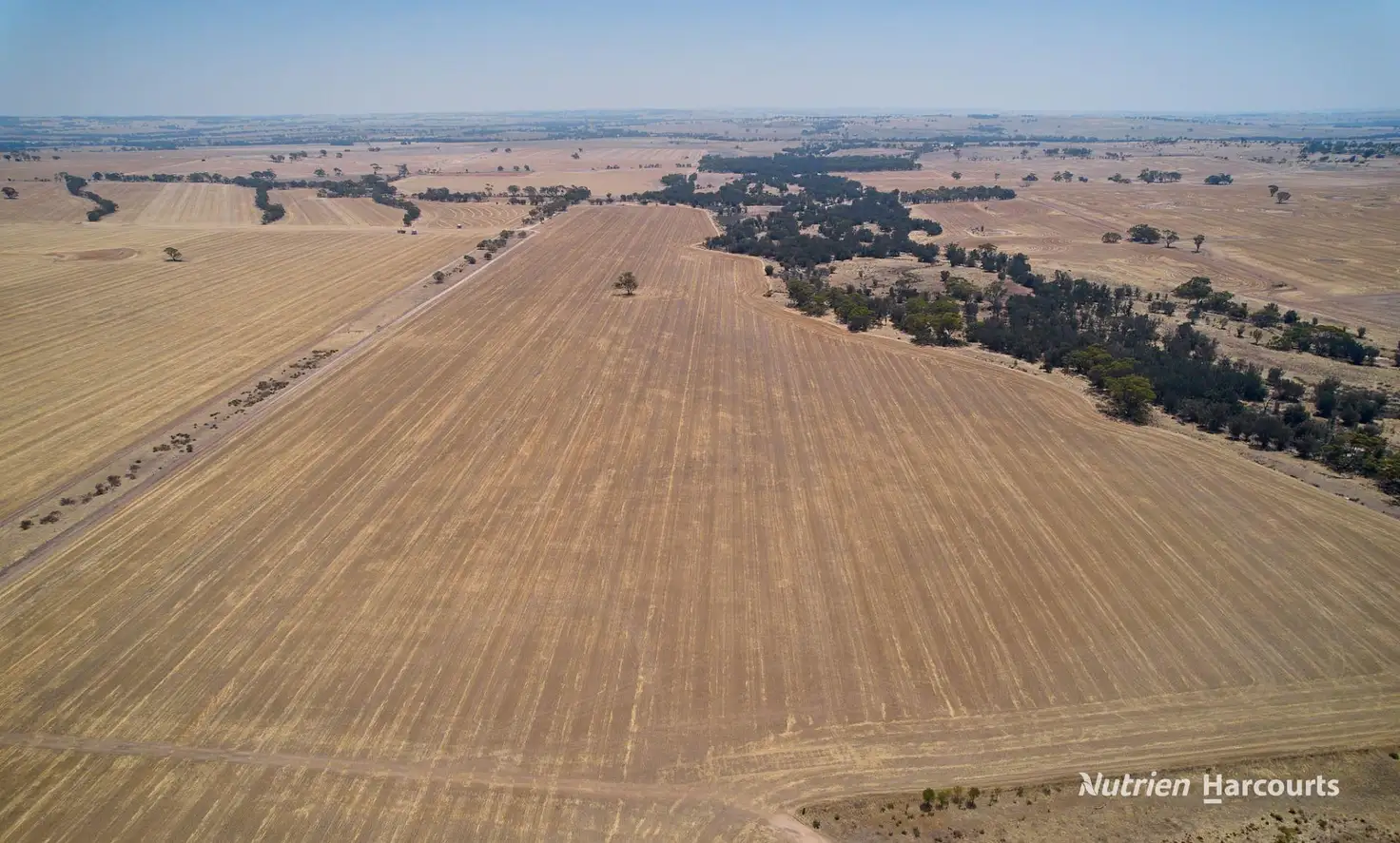 Main view of Homely rural property listing, 1608 Northam-Pithara Road, Jennapullin WA 6401