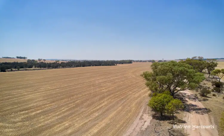 Fourth view of Homely rural property listing, 1608 Northam-Pithara Road, Jennapullin WA 6401