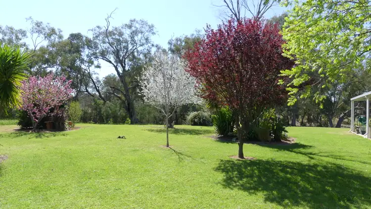Third view of Homely rural property listing, 343 Rifle Range Rd, Warren NSW 2824