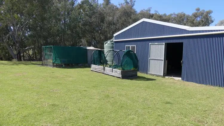 Sixth view of Homely rural property listing, 343 Rifle Range Rd, Warren NSW 2824