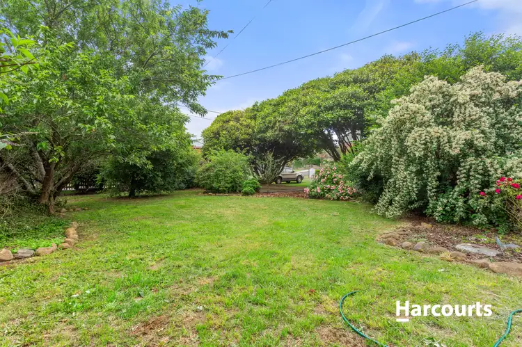 Fifth view of Homely house listing, 53 Arthur Street, Scottsdale TAS 7260