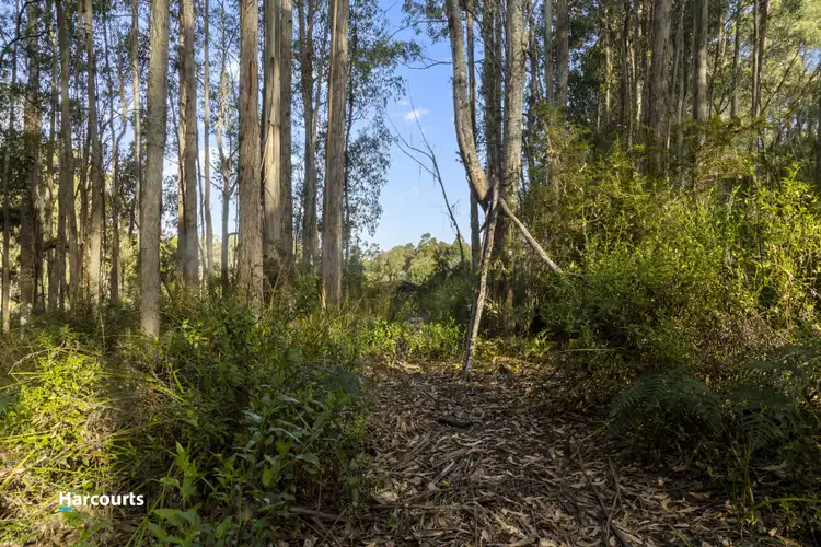 Fifth view of Homely land listing, 8692 Huon Highway, Southport TAS 7109