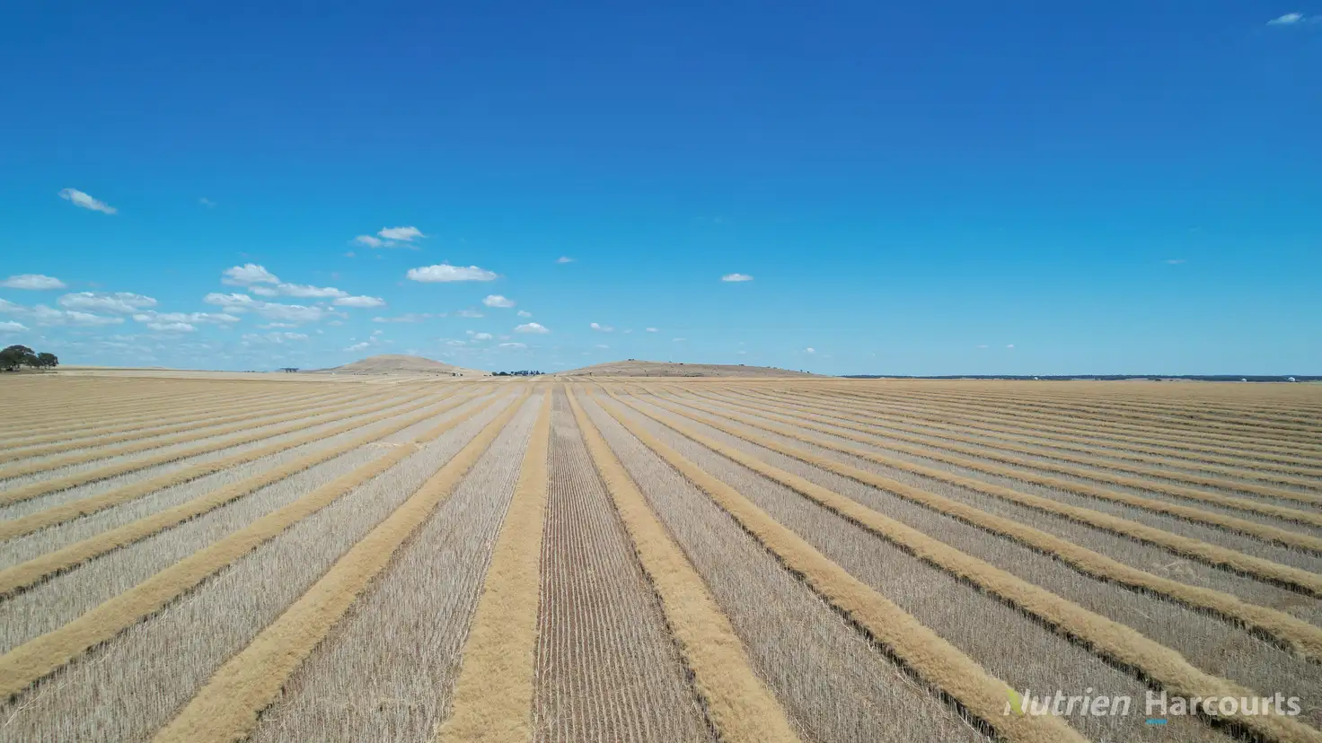 Main view of Homely rural property listing, 1545 Cotswold Road, Glengower VIC 3370