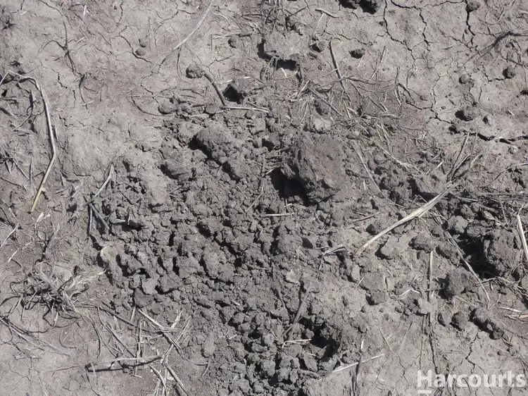 Fourth view of Homely rural property listing, . Fischers Road, St Helens Plains VIC 3401