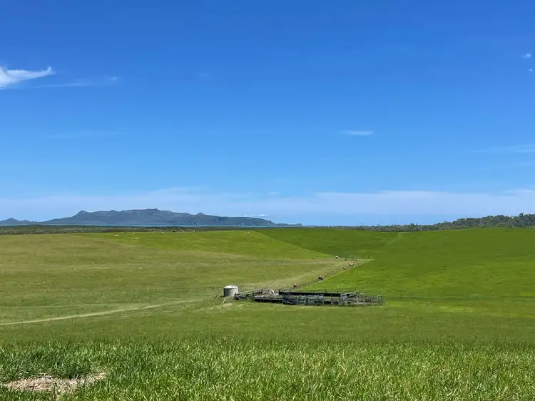 Sixth view of Homely rural property listing, 314 Barrow Hill Road, Habana QLD 4740