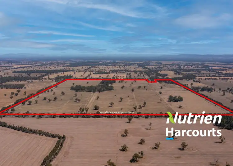 Main view of Homely rural property listing, 740 Boland Road, Boorhaman VIC 3678