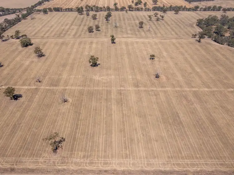 Seventh view of Homely rural property listing, 740 Boland Road, Boorhaman VIC 3678