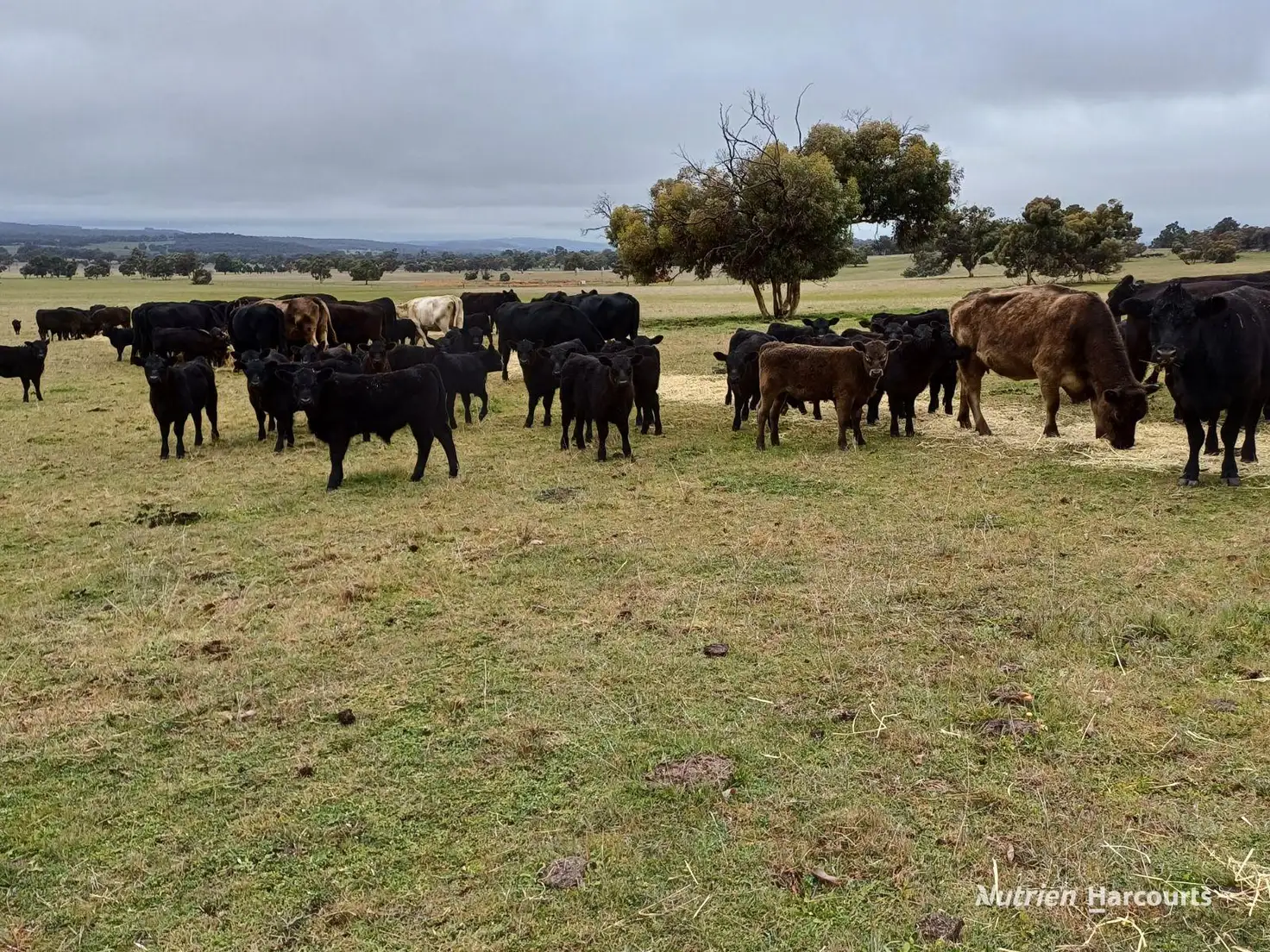 Main view of Homely rural property listing, 1564 Edison Mill Road, Dale WA 6304