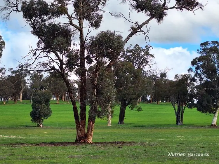 Fifth view of Homely rural property listing, 1564 Edison Mill Road, Dale WA 6304