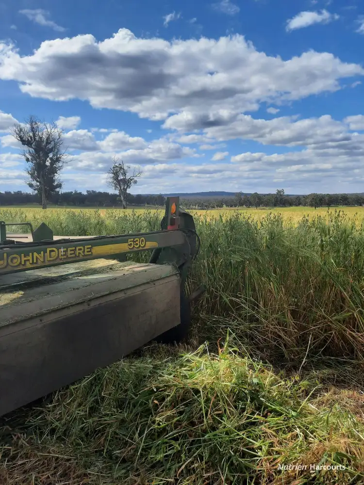 Sixth view of Homely rural property listing, 1564 Edison Mill Road, Dale WA 6304