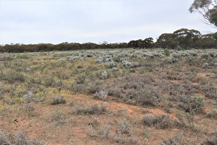'Mundonah' 2301 Arumpo Road, Mallee NSW 2738