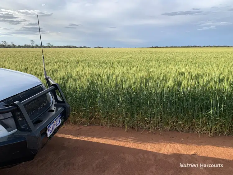 Second view of Homely rural property listing, . 'Bingarra', Beacon WA 6472