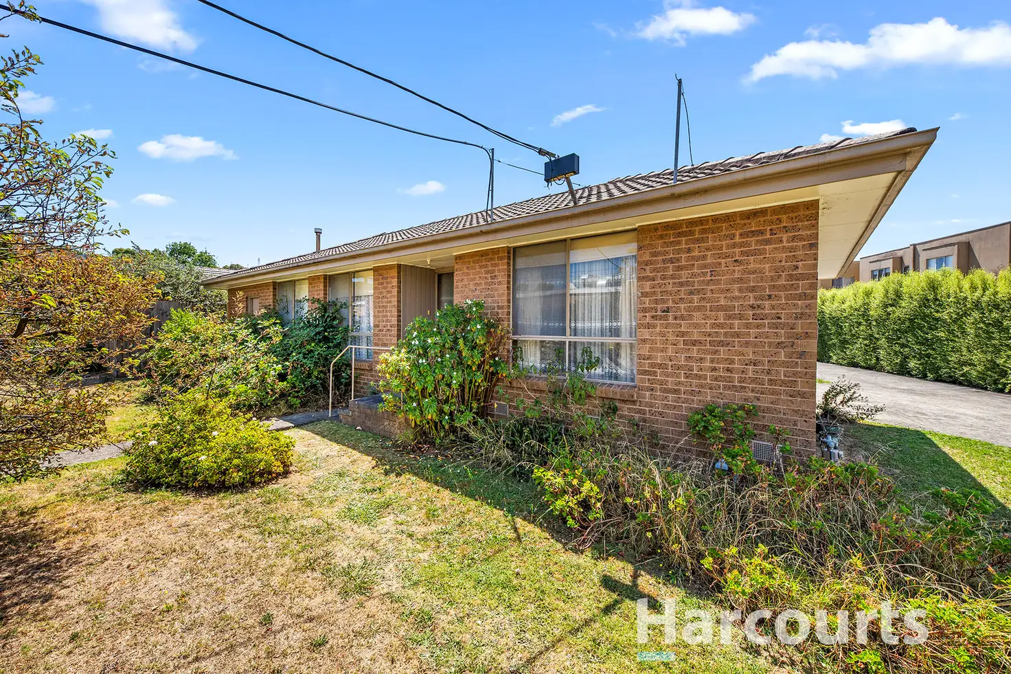 Main view of Homely unit listing, 1/8 Orchid Avenue, Boronia VIC 3155