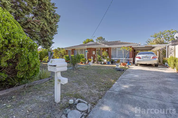Main view of Homely house listing, 37 Brinckley Crescent, Koondoola WA 6064