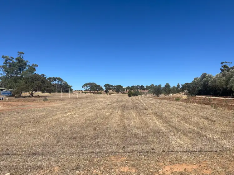 9 Curb Street, Saddleworth SA 5413