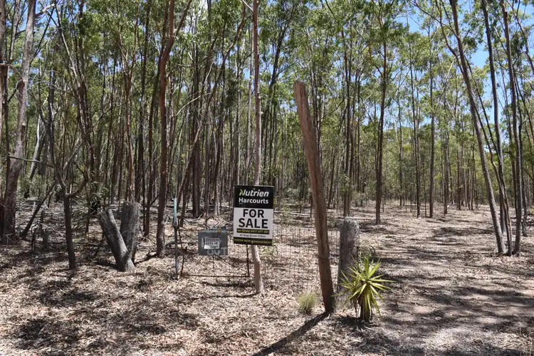 Fifth view of Homely rural property listing, L136/0 Leyburn Cunningham Road, Leyburn QLD 4365