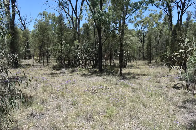 Sixth view of Homely rural property listing, L136/0 Leyburn Cunningham Road, Leyburn QLD 4365