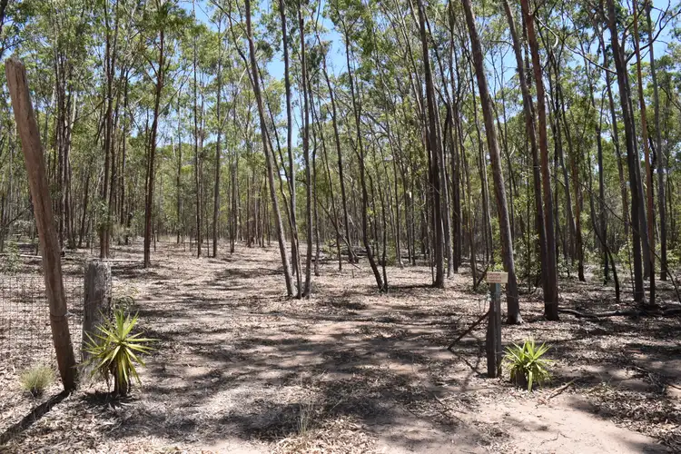 Seventh view of Homely rural property listing, L136/0 Leyburn Cunningham Road, Leyburn QLD 4365
