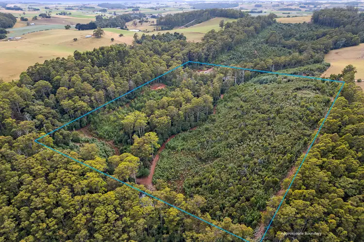 Second view of Homely land listing, 82 Harveys Road, North Motton TAS 7315