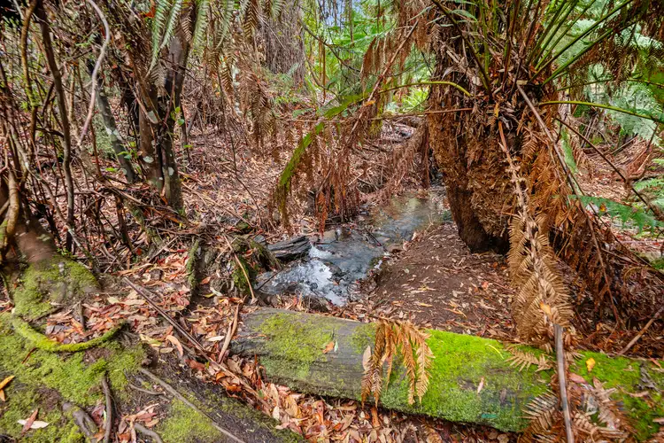 Fourth view of Homely land listing, 82 Harveys Road, North Motton TAS 7315