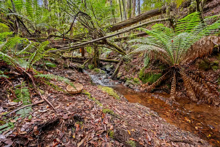 Sixth view of Homely land listing, 82 Harveys Road, North Motton TAS 7315