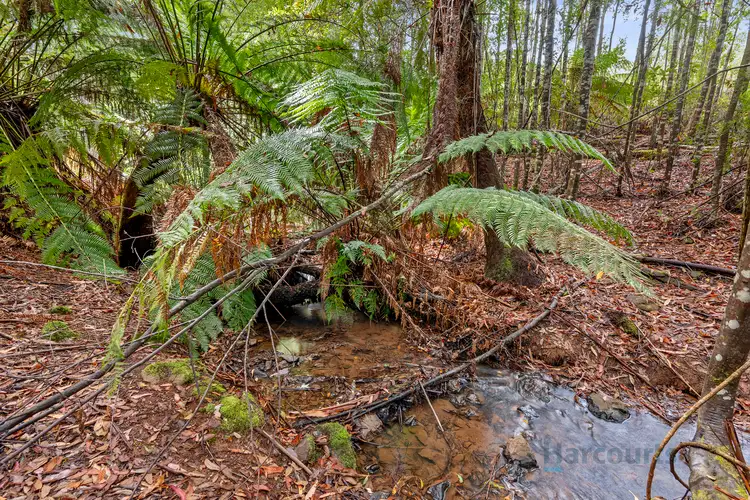 Seventh view of Homely land listing, 82 Harveys Road, North Motton TAS 7315