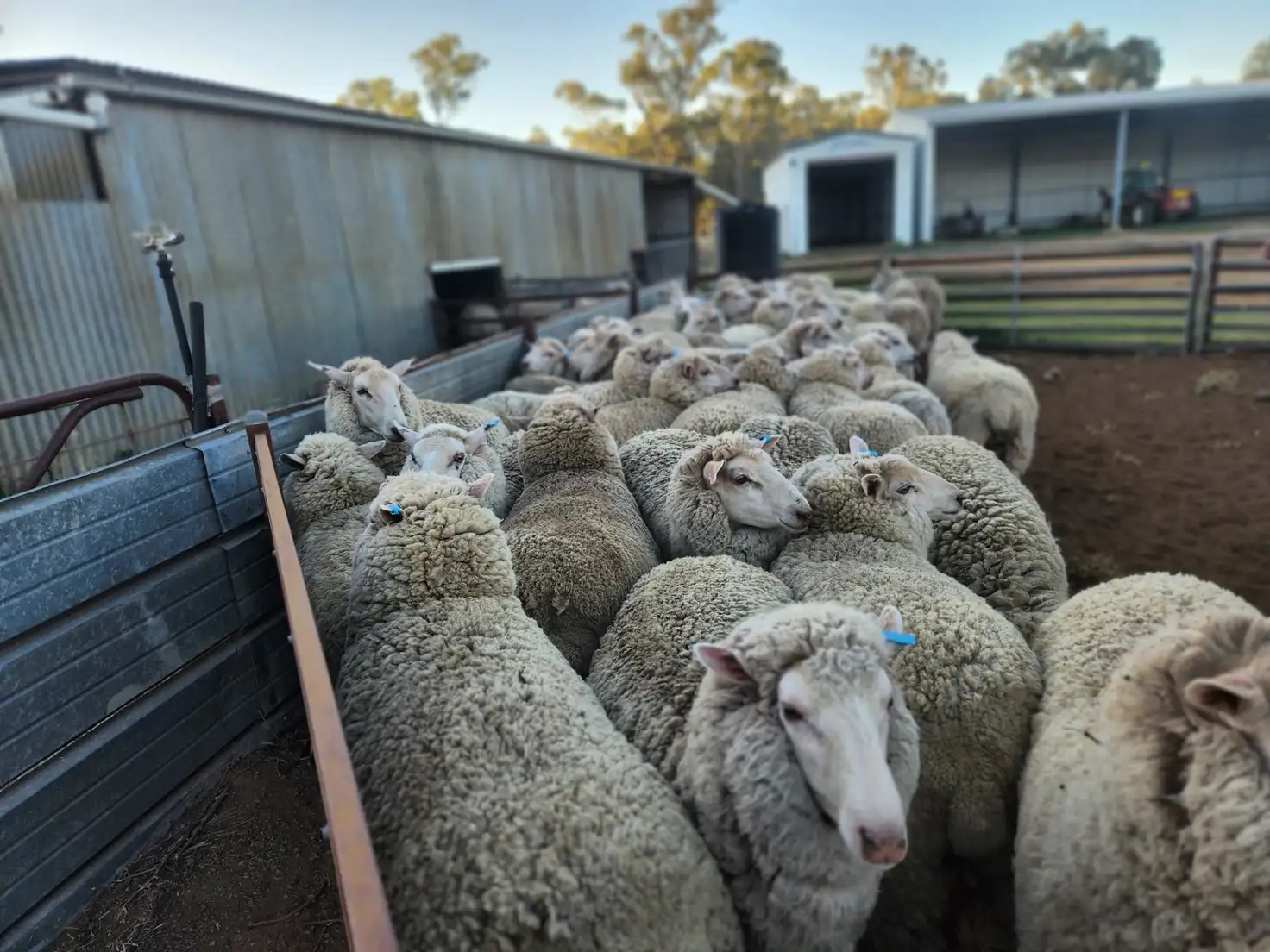 Main view of Homely rural property listing, 72 Boorr Hill Road, Parkes NSW 2870