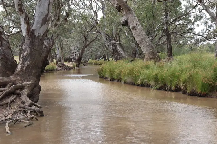 Second view of Homely rural property listing, 72 Boorr Hill Road, Parkes NSW 2870