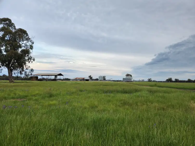 Third view of Homely rural property listing, 72 Boorr Hill Road, Parkes NSW 2870