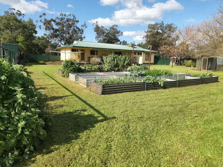 Fifth view of Homely rural property listing, 72 Boorr Hill Road, Parkes NSW 2870