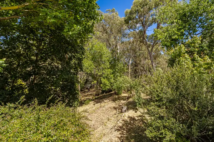 Second view of Homely house listing, 20 Branch Road, Stirling SA 5152