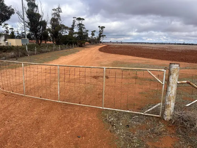 Main view of Homely rural property listing, . 'Brondel Farm', Southern Cross WA 6426