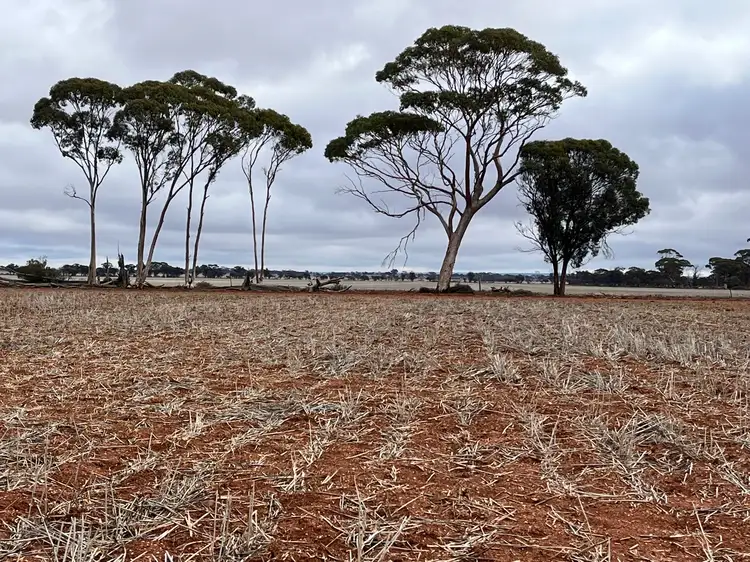 Fourth view of Homely rural property listing, . 'Brondel Farm', Southern Cross WA 6426