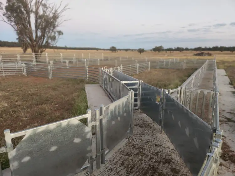 Fifth view of Homely rural property listing, 655 Boorr Hill Road, Parkes NSW 2870