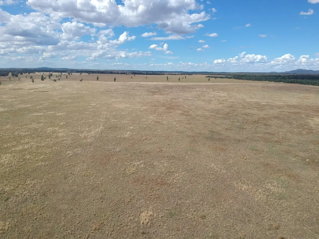 Main view of Homely rural property listing, . 'GLENVIEW', Burcher NSW 2671