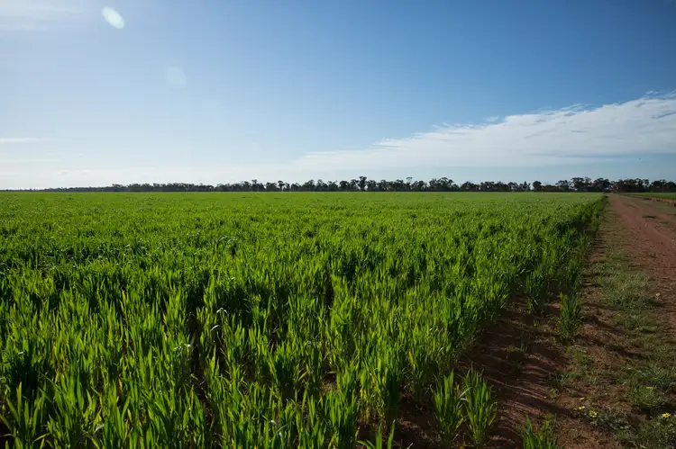 Fourth view of Homely rural property listing, . 'GLENVIEW', Burcher NSW 2671
