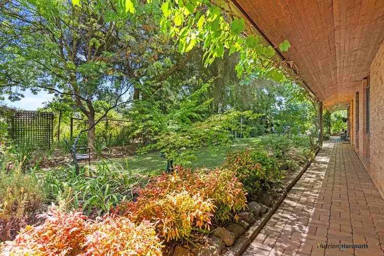 Third view of Homely house listing, 41 Albert Street, Alexandra VIC 3714