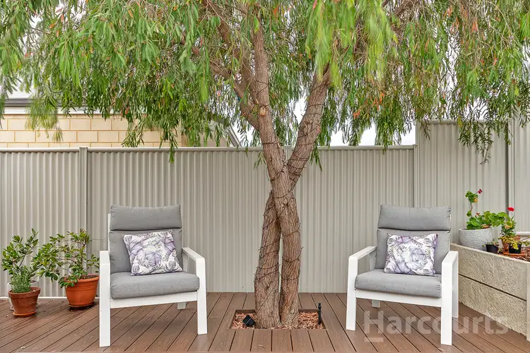 159 Pectoral Promenade, Alkimos WA 6038