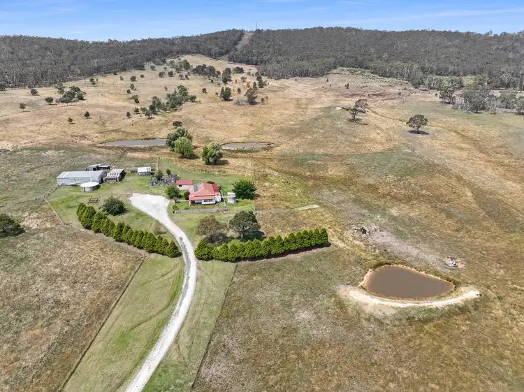 Main view of Homely rural property listing, 309 Bucky Springs Road, Bombala NSW 2632