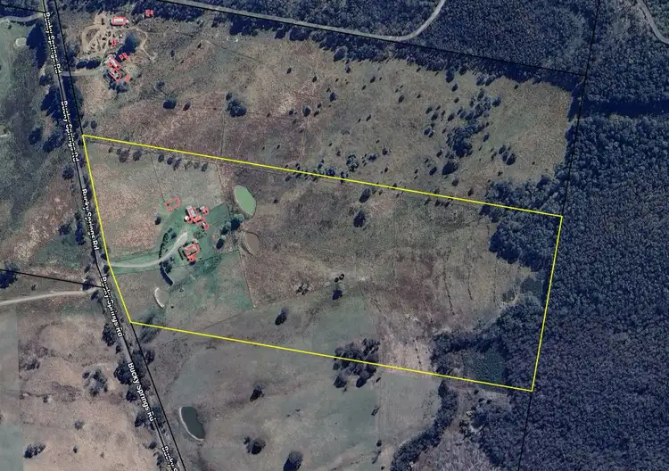 Third view of Homely rural property listing, 309 Bucky Springs Road, Bombala NSW 2632