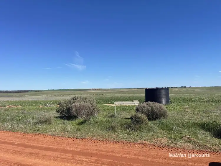 "Carot Well" Longman Road, Watheroo WA 6513