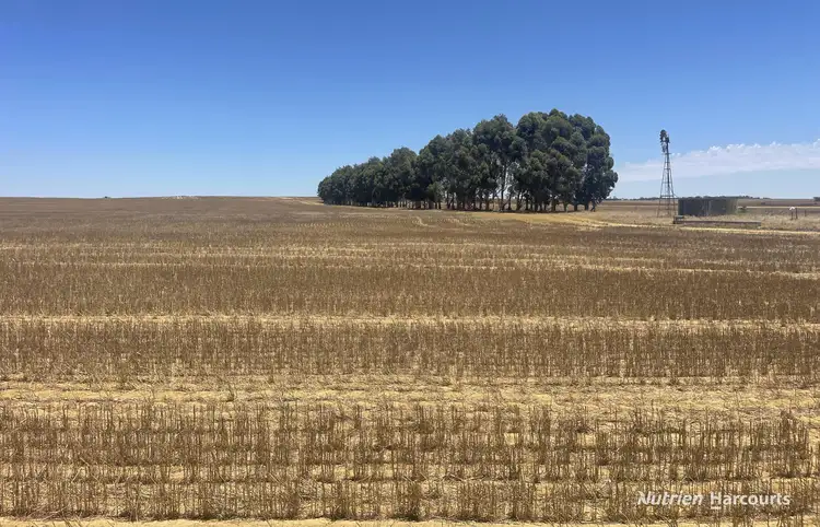 Main view of Homely rural property listing, "Carot Well" Longman Road, Watheroo WA 6513