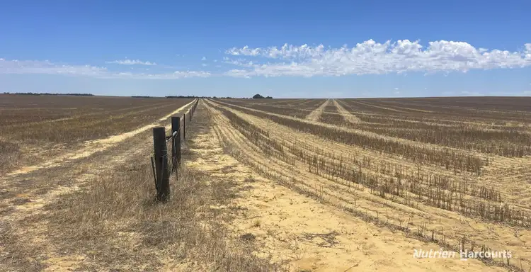 Second view of Homely rural property listing, "Carot Well" Longman Road, Watheroo WA 6513