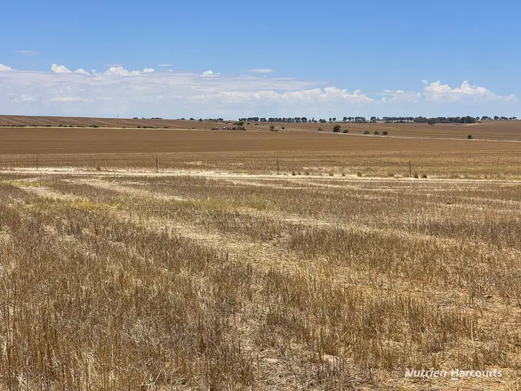 Third view of Homely rural property listing, "Carot Well" Longman Road, Watheroo WA 6513