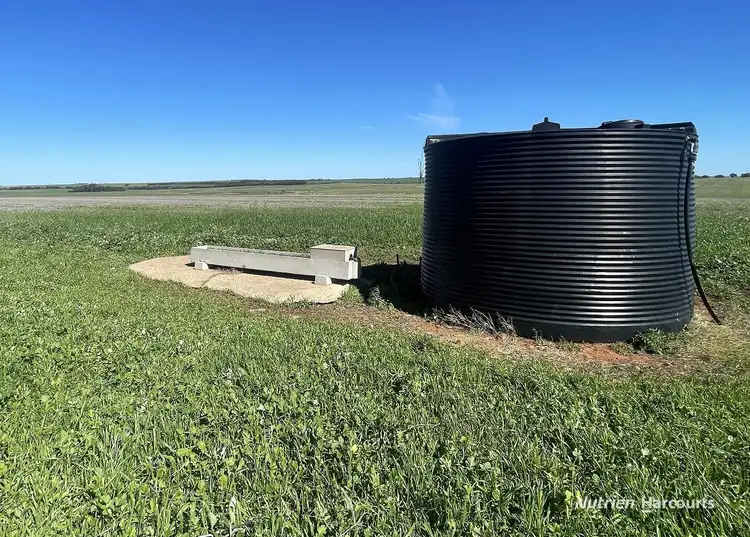 Fifth view of Homely rural property listing, "Carot Well" Longman Road, Watheroo WA 6513