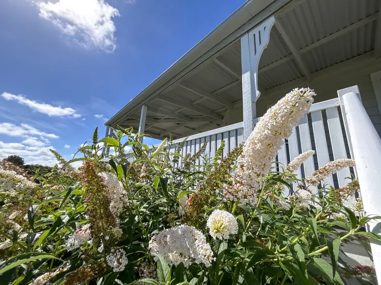 Third view of Homely house listing, 470 Rouse Street, Tenterfield NSW 2372
