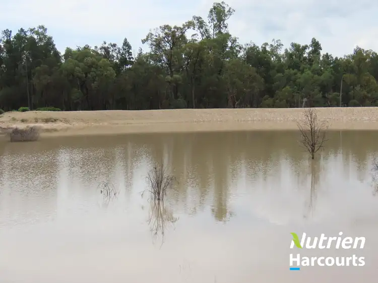 Fourth view of Homely rural property listing, 150 Aytons Road, Miles QLD 4415