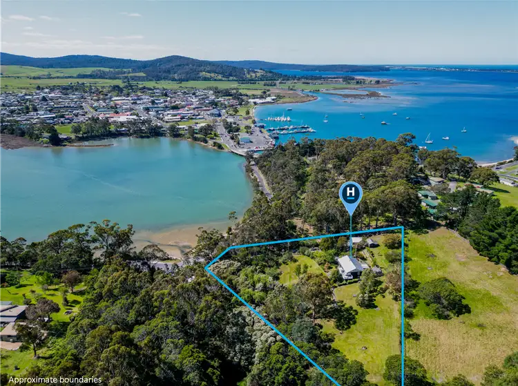 Fifth view of Homely house listing, 31 Medeas Cove Road, St Helens TAS 7216