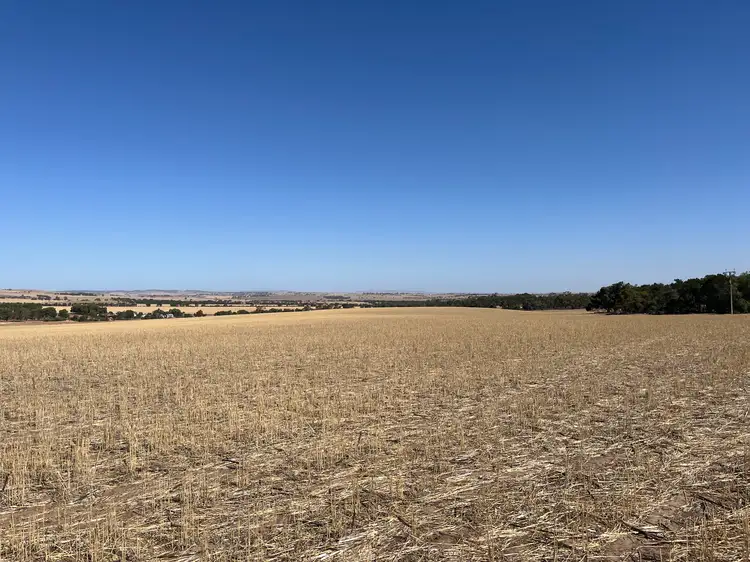 Third view of Homely rural property listing, 1477 Bethel Road, Stockport SA 5410