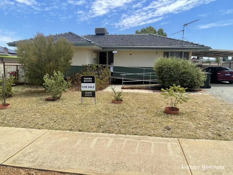 13 Johnston Street, Wongan Hills WA 6603